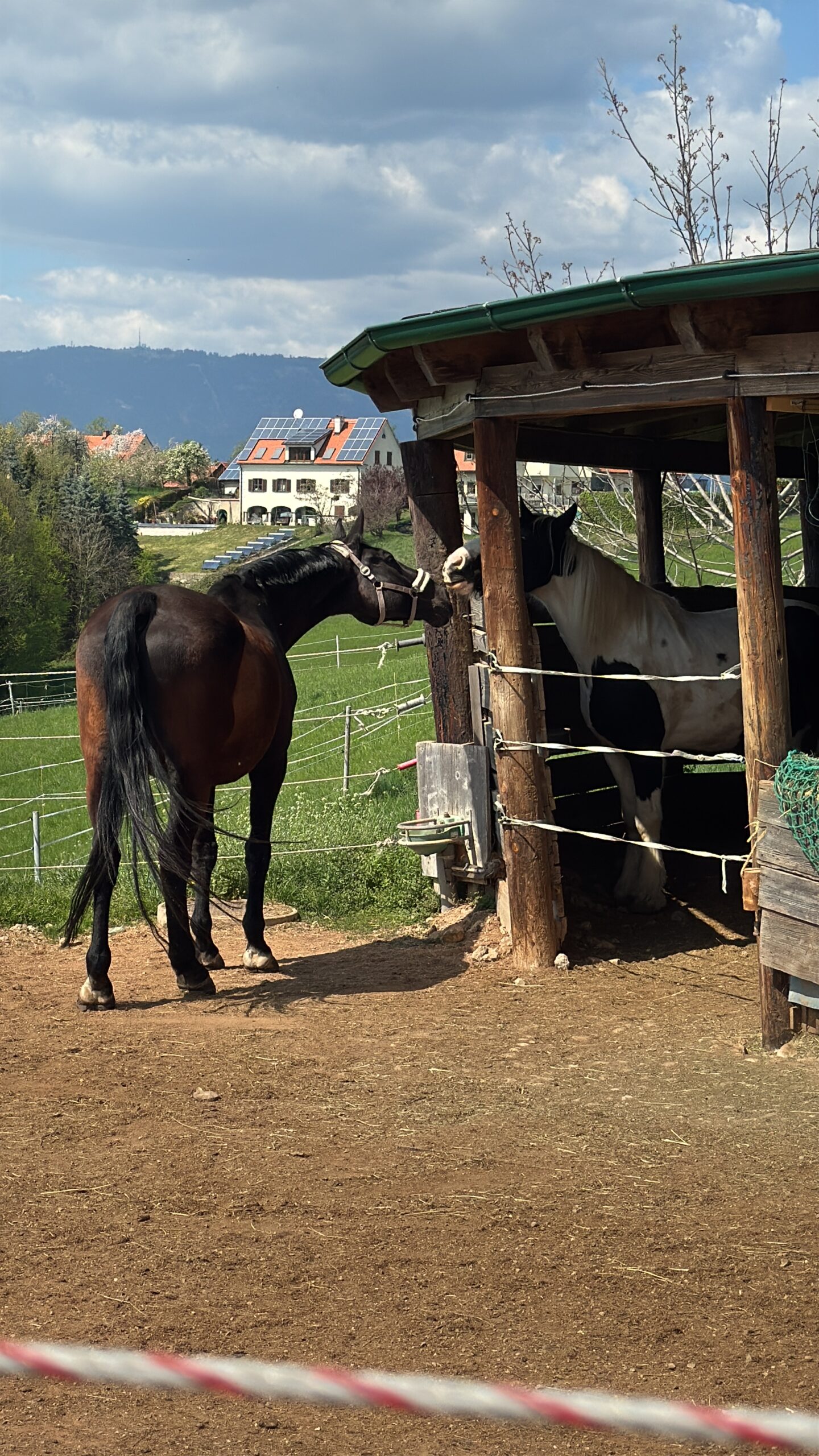 A brown horse stands outside a wooden shelter on a farm, with another black‑white horse inside and hills in the background.