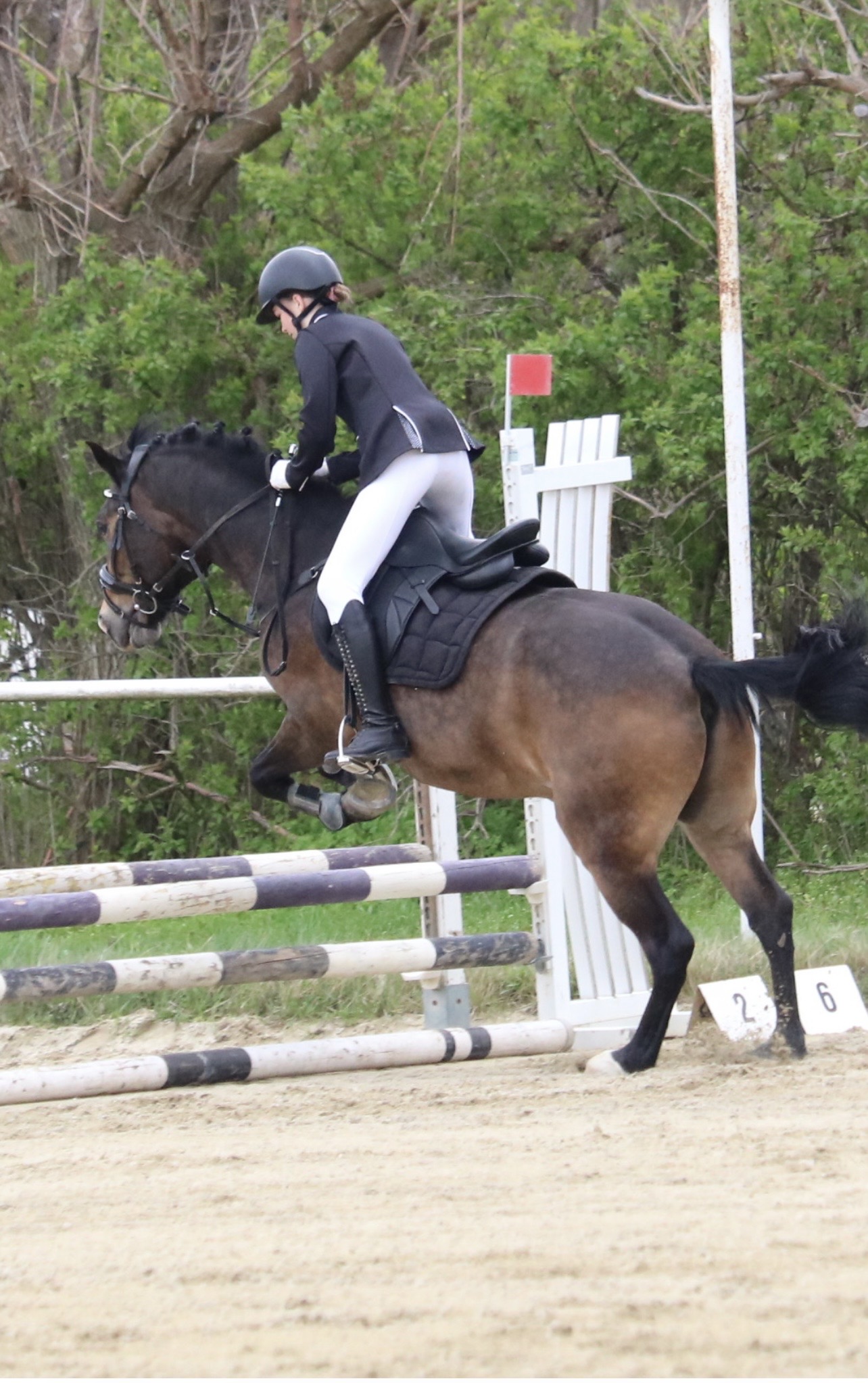 Rider in helmet and black jacket leaps a bay horse over a striped hurdle in an outdoor arena.