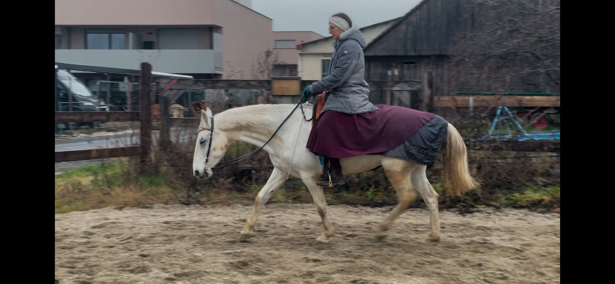 Rider on a white horse trotting in an outdoor riding arena; rider wears a gray coat and headband with a purple saddle blanket.