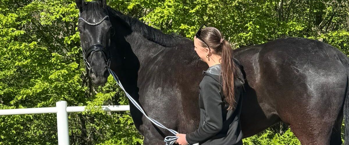 Woman in a black jacket standing beside a black horse, holding a rope lead in a sunny outdoor paddock with green trees in the background.