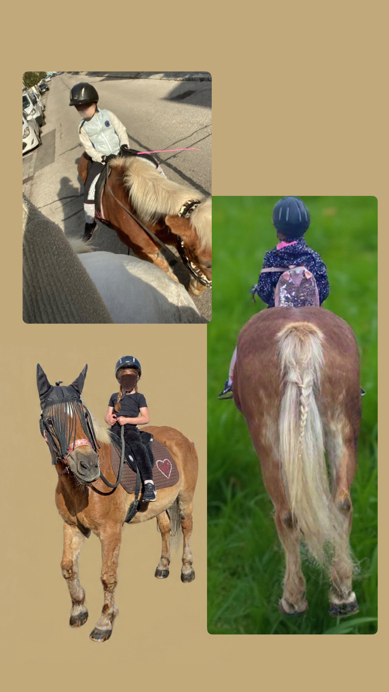 Collage of four riders on horses: urban street ride, rider facing away in a green field, and two seen from the front with helmets and riding gear.