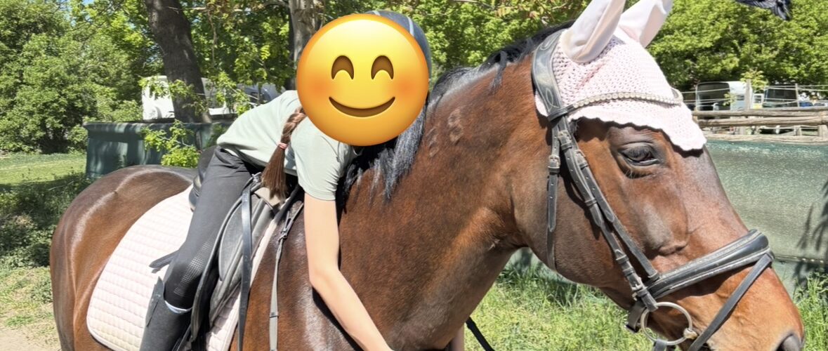 Person riding a brown horse outdoors on a sunny day; rider wears gloves and a light shirt, horse has a pink saddle pad and white ear bonnet.