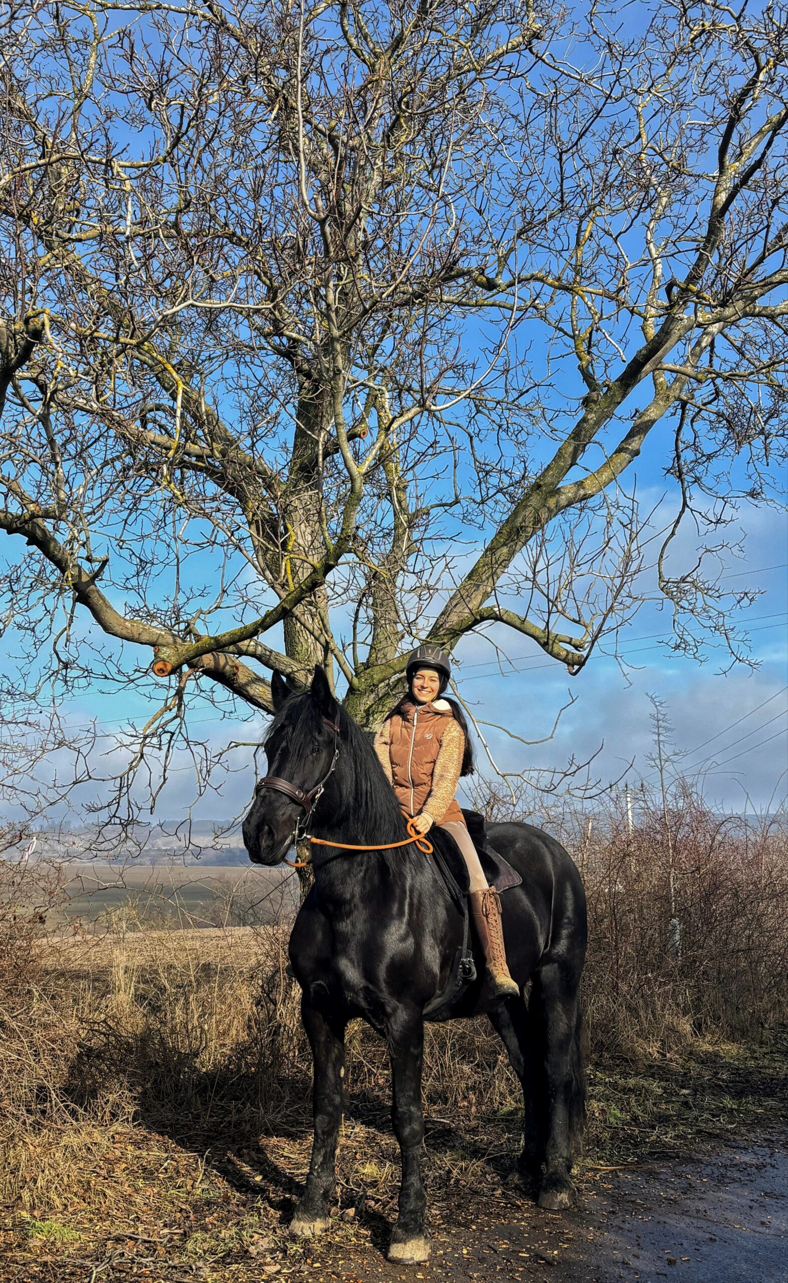 Person in a helmet riding a black horse on a sunny day, with leafless trees and blue sky.