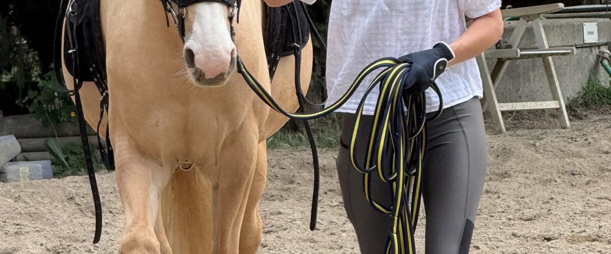 Woman leads a light-brown horse with a long yellow-and-black rope outdoors, wearing a white blouse and gloves.