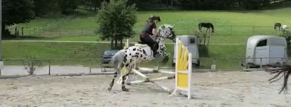 Fionag22